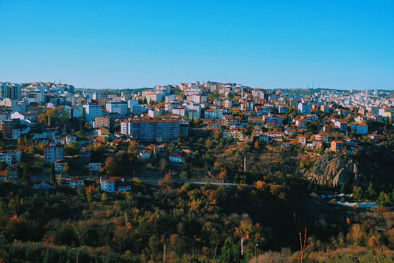 بيلجيك